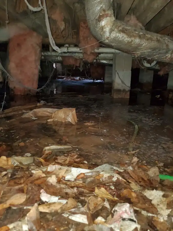 Crawl space flood assessment for Leak Detection & Repair in Zebulon